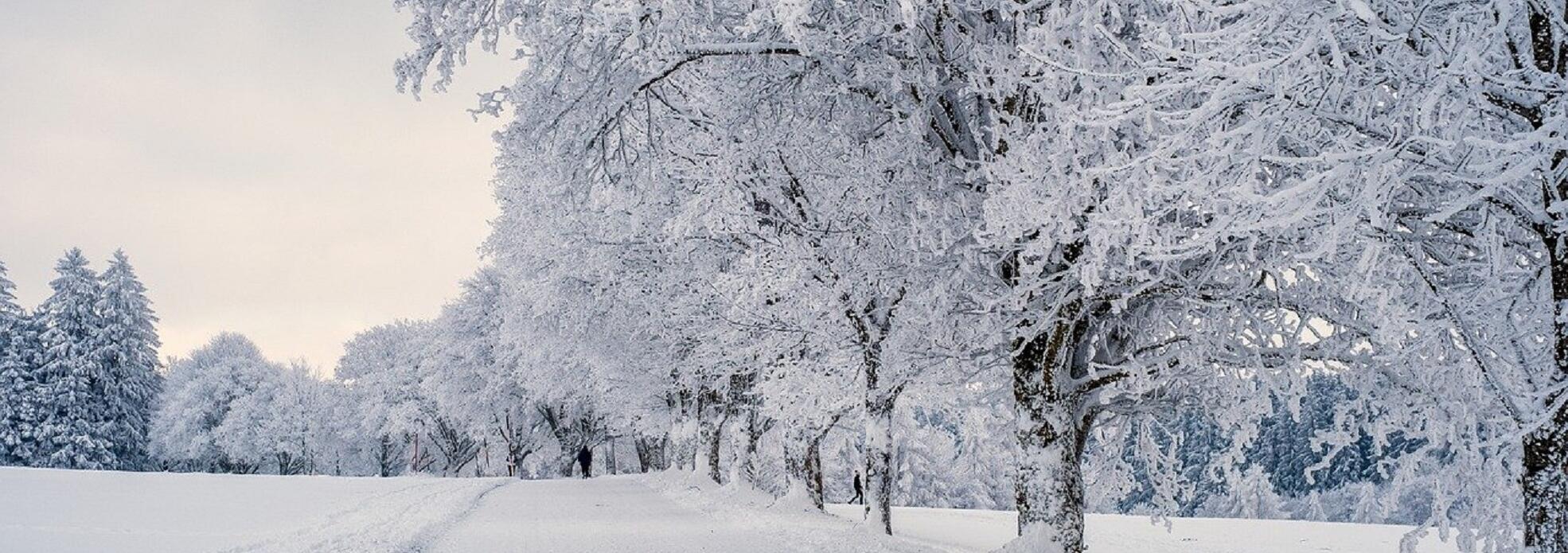 eine verschneite Landstraße