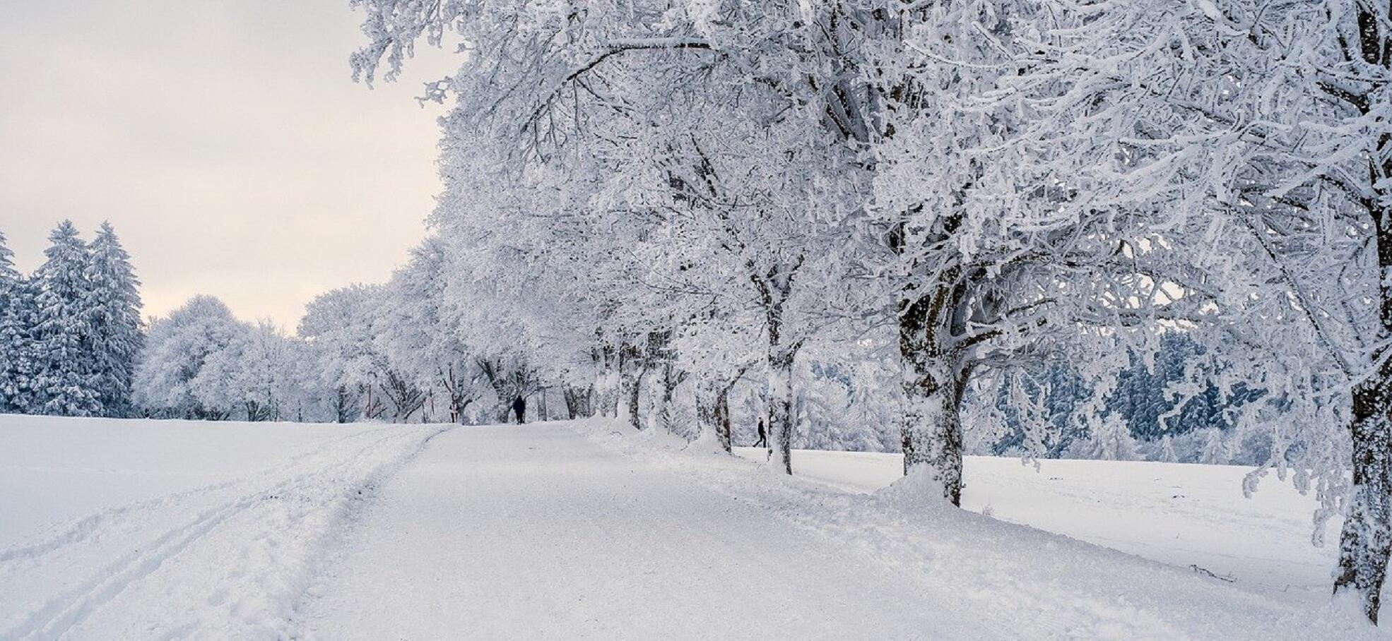 eine verschneite Landstraße