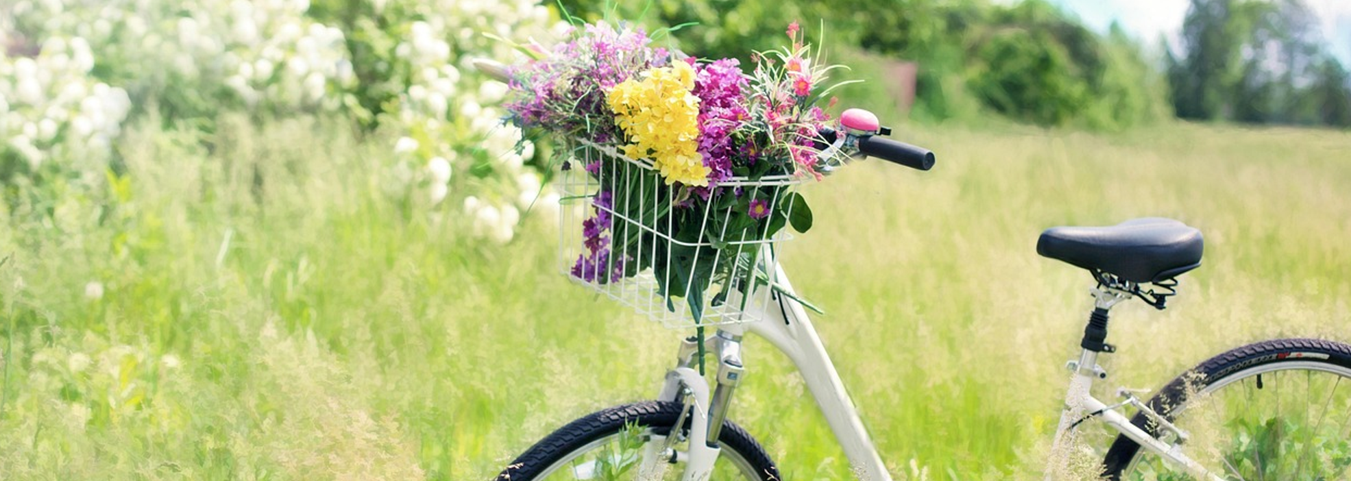 Fahrrad mit Blumenstrauss in sommerlicher Landschaft