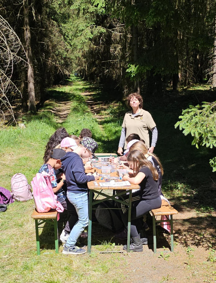 Grundschüler bemalen Steine zum Thema Waldtag